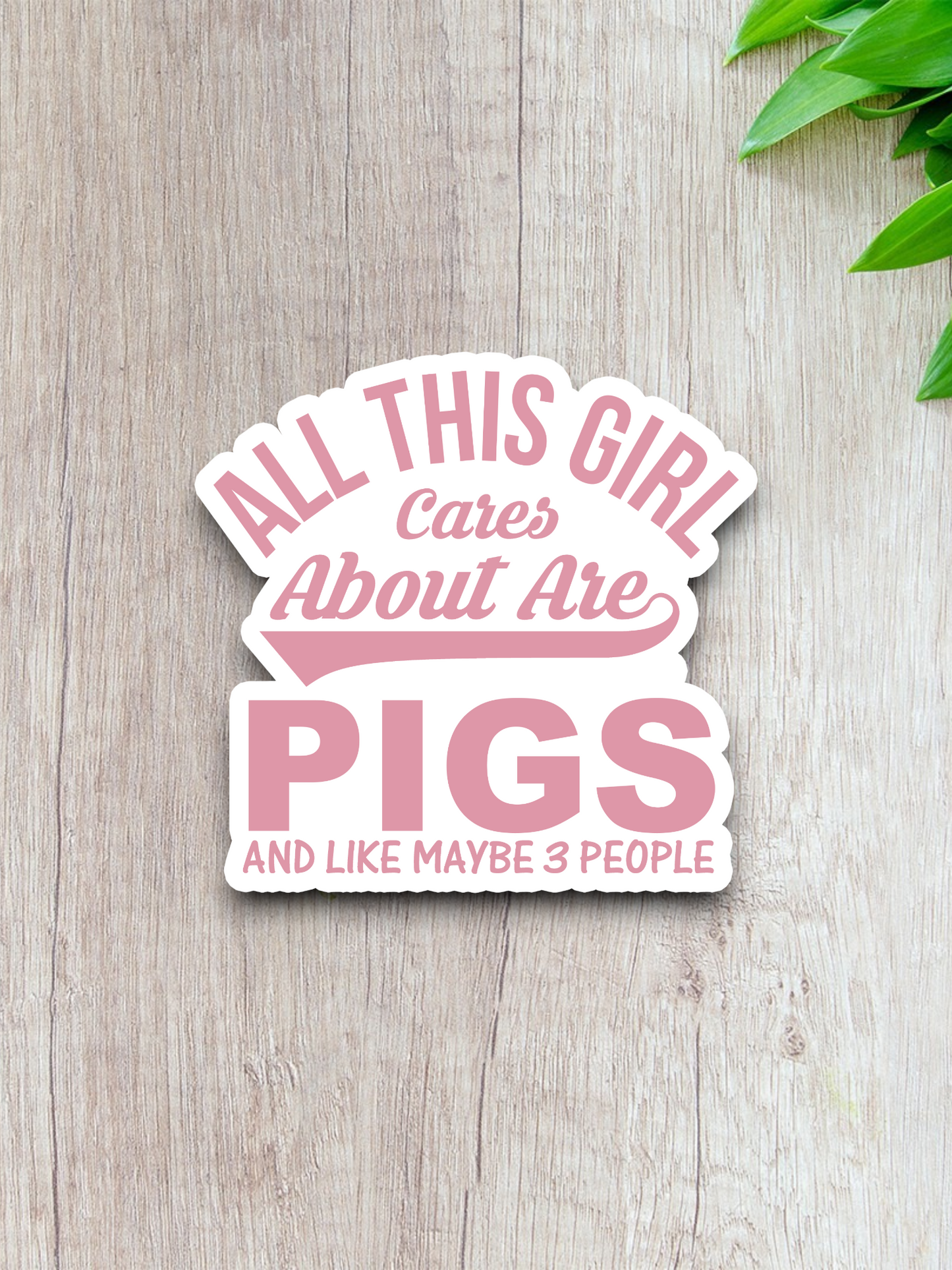 All This Girl Cares About Are Pigs Sticker