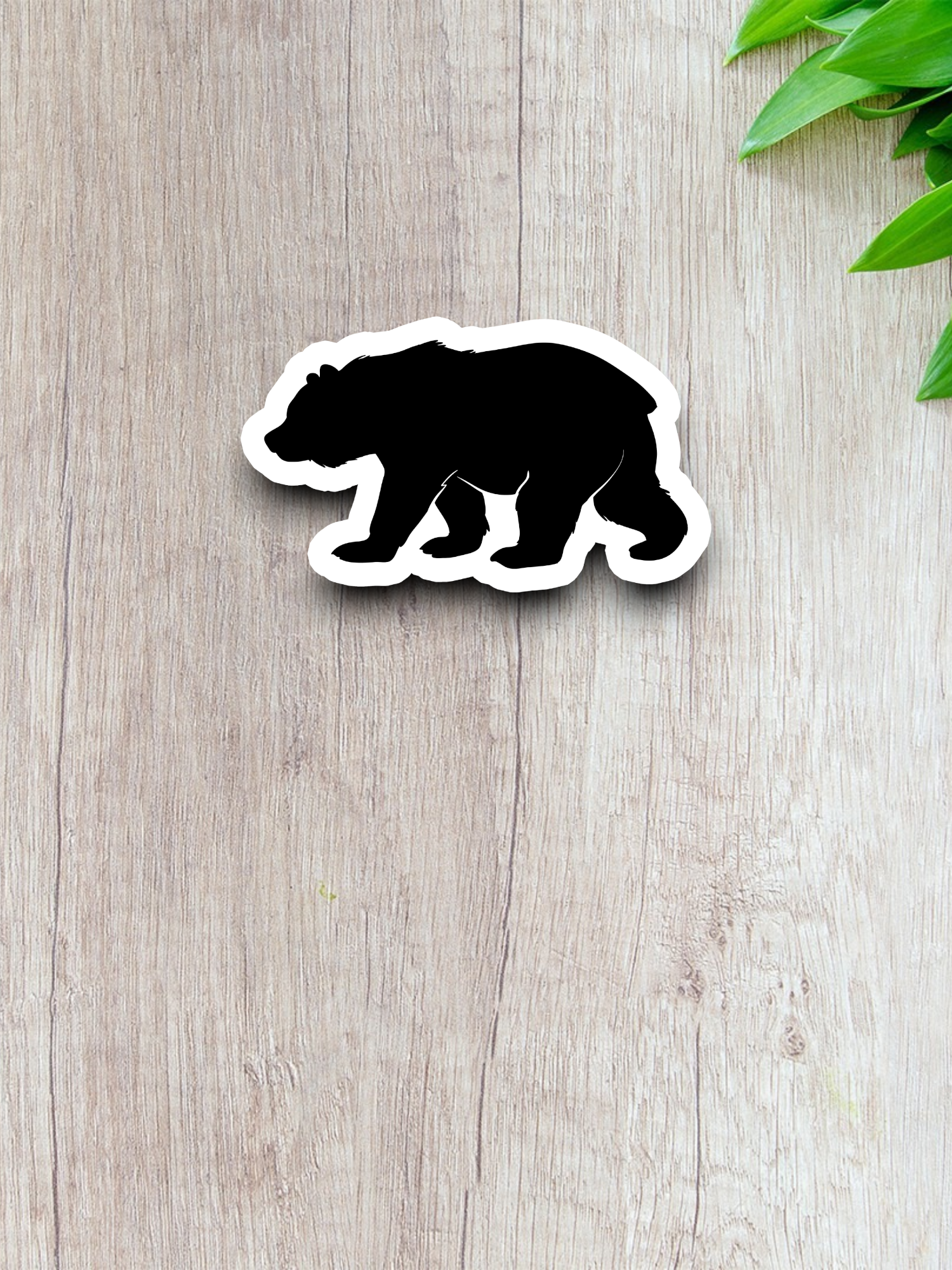 Bear Sticker