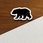 Bear Animal Sticker