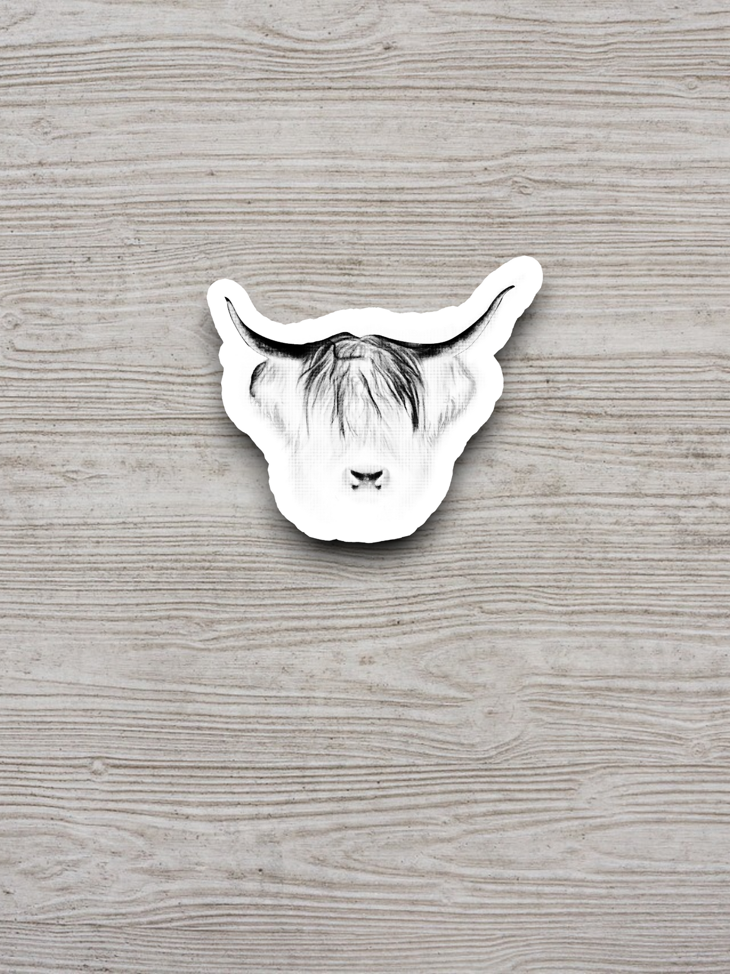 Faded Bull Sticker