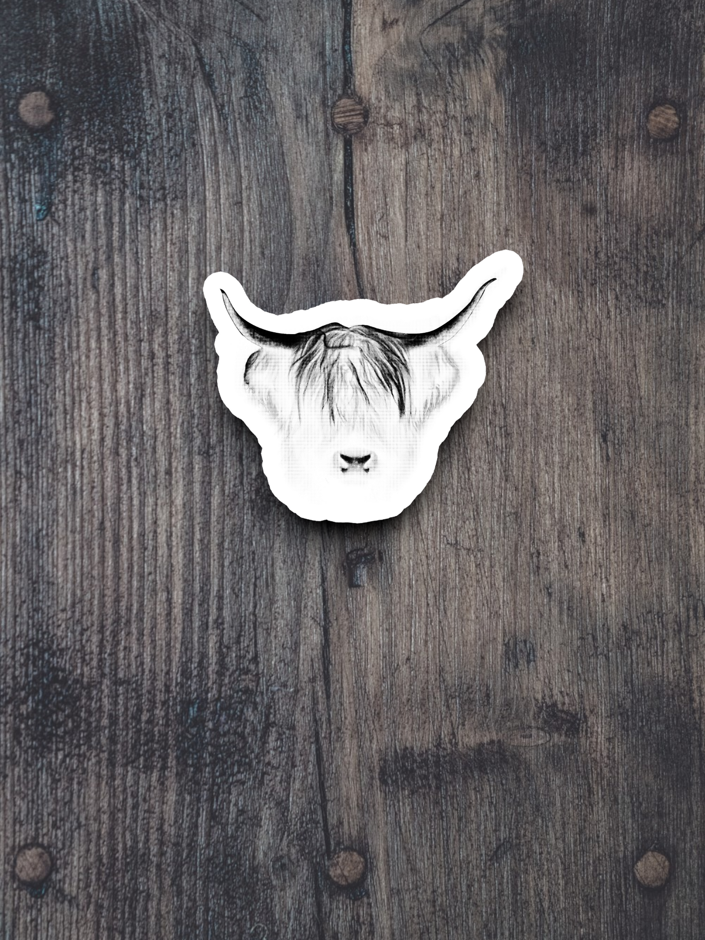 Faded Bull Sticker