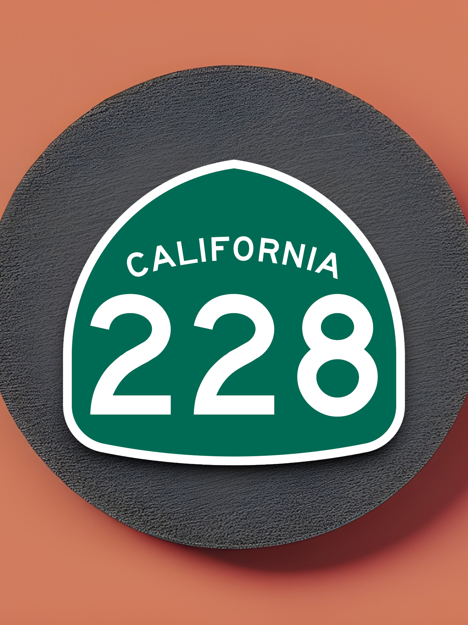 California State Route 228 Road Sign Sticker