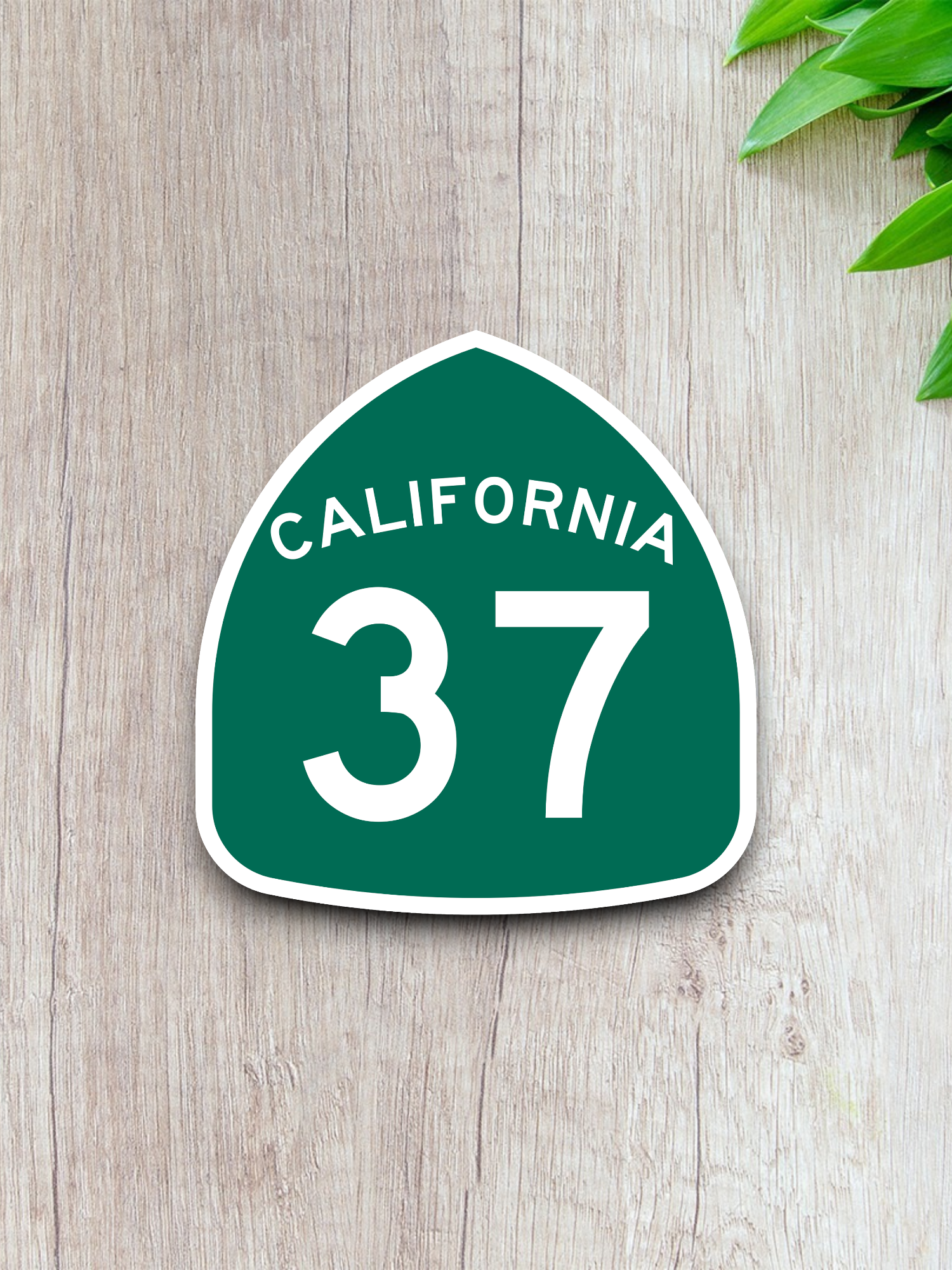 California State Route 37 Sticker