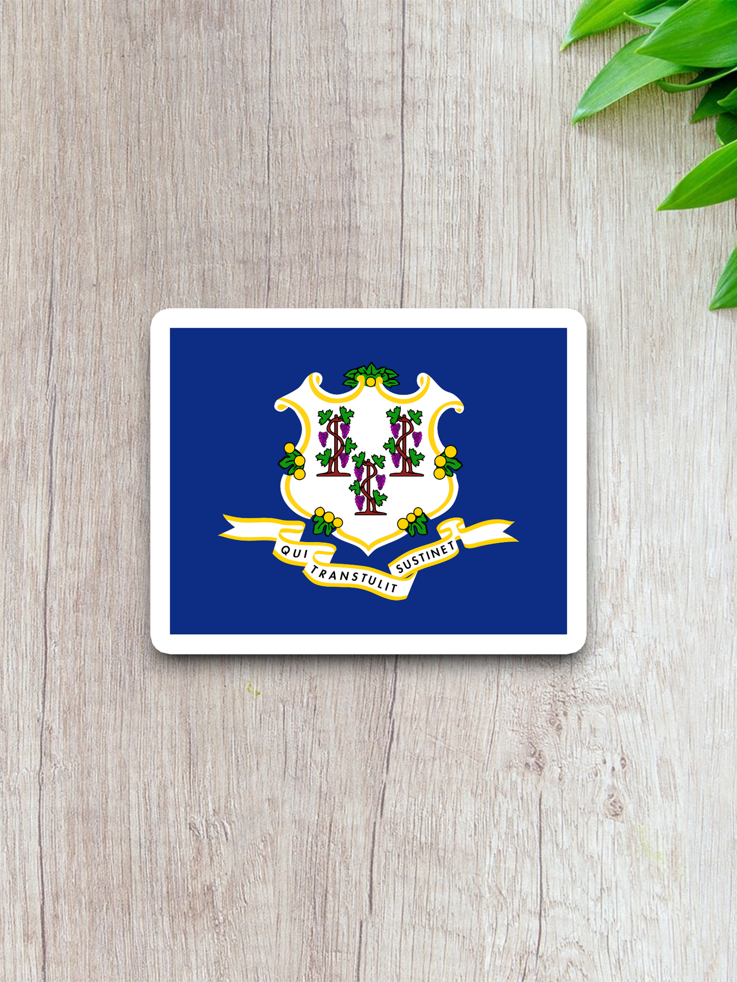 Connecticut Flag - State Flag Sticker