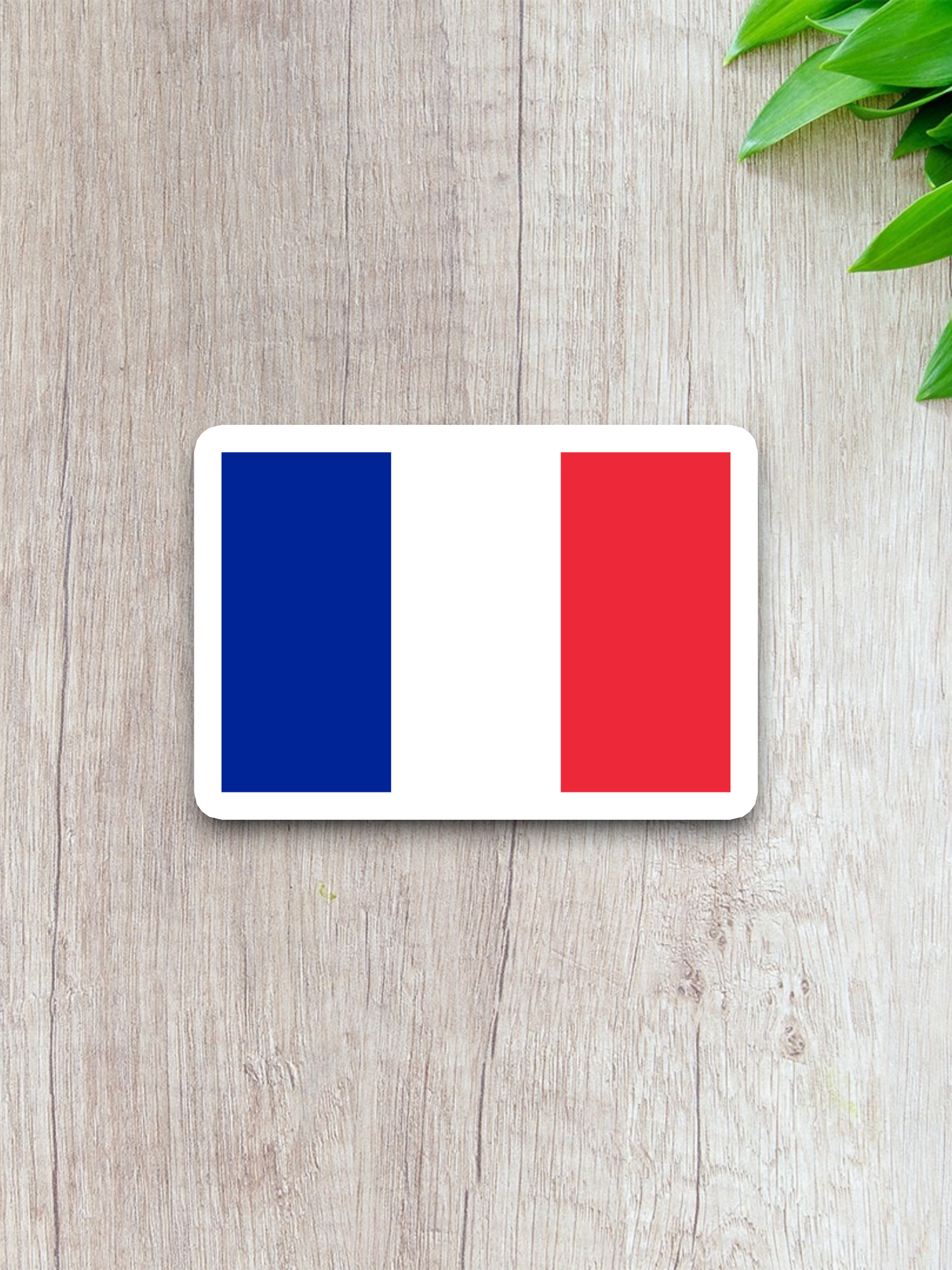 France Flag - International Country Flag Sticker