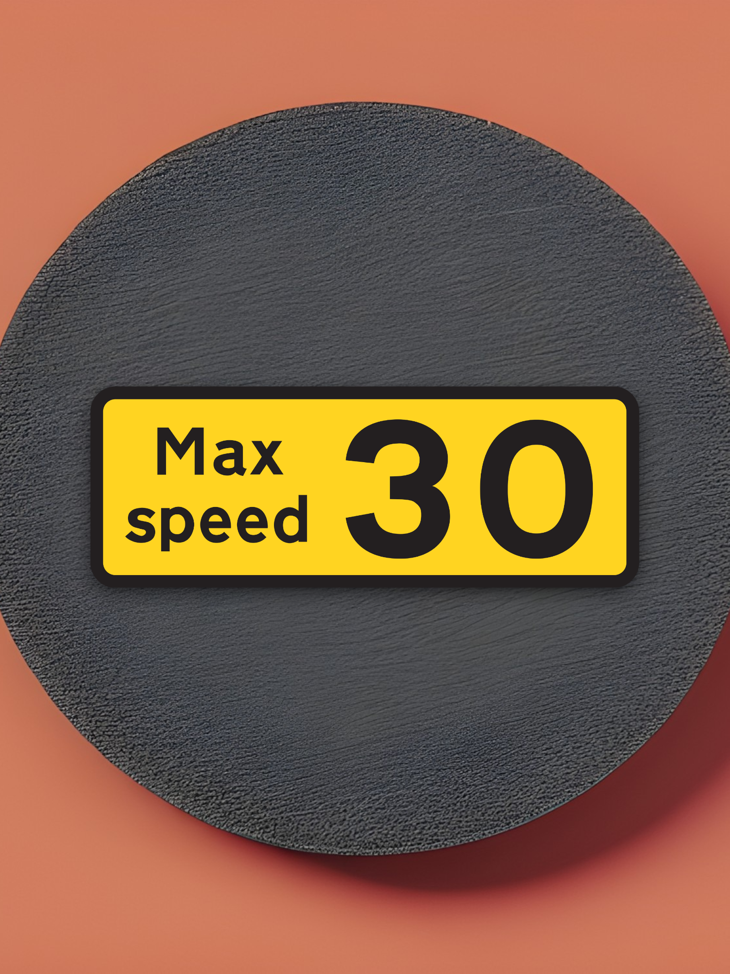 Max Speed 30 Sticker