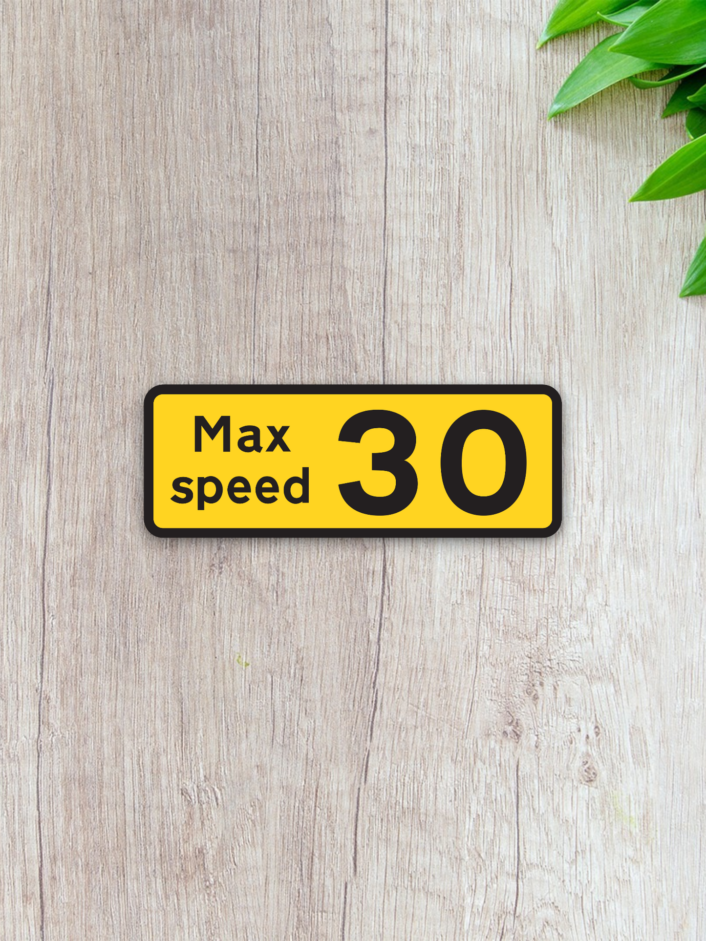 Max Speed 30 Sticker