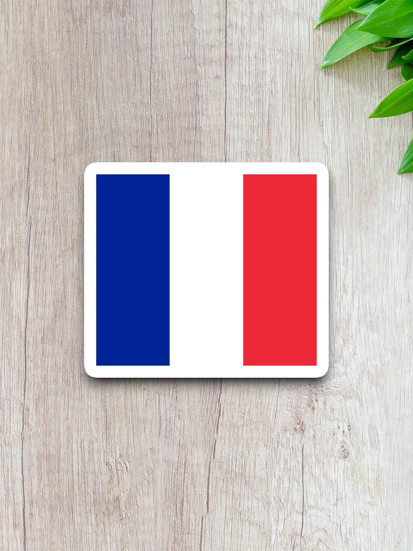 Saint Martin Flag - International Country Flag Sticker