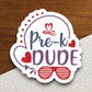 Pre-K Dude Sticker, Teacher Sticker, Education Sticker, School Sticker, Cute Sticker, Back to School, Kindergarten Sticker, Back to School