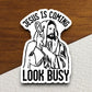 Jesus is coming look busy sticker, Religious Sticker, Faith Sticker, Worship Sticker, Christian Sticker, Scripture Sticker, Room Décor