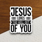 Jesus loves the hell out of you sticker, Religious Sticker, Faith Sticker, Worship Sticker, Christian Sticker, Scripture Sticker, Room Décor