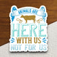 Animals are here with us not for us sticker, Funny Animal Sticker For Laptop, Water Bottle, Hydro flask, Phone, Computer, Gift, Pet Sticker