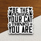 Be the person your cat thinks you are cat sticker, Funny Animal Sticker For Laptop, Water Bottle, Hydro flask, Phone, Computer, Gift