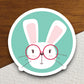 Bunny with glasses bunny sticker, Funny Animal Sticker For Laptop, Water Bottle, Hydro flask, Phone, Computer, Gift, Pet Sticker