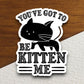 You've got to be kitten me cat sticker, Funny Animal Sticker For Laptop, Water Bottle, Hydro flask, Phone, Computer, Gift, Pet Sticker