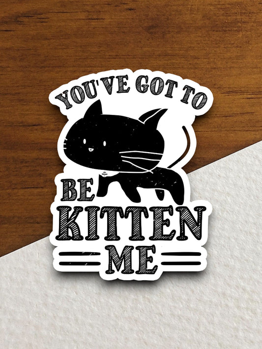 You've got to be kitten me cat sticker, Funny Animal Sticker For Laptop, Water Bottle, Hydro flask, Phone, Computer, Gift, Pet Sticker