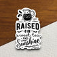 Raised on sweet tea and sunshine sticker, Funny Stickers, Coffee Sticker, Caffeine, Coffee Lover, Cafe, Decaf, Barista Sticker