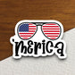 America with sunglasses sticker, holiday laptop decal, water bottle decor, gift sticker, custom planner accessories sticker, journal sticker