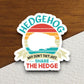 Hedgehog why don't they just share the hedge hedgehog sticker, Funny Animal Sticker For Laptop, Water Bottle, Hydro flask, Phone, Computer