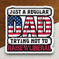 Just a Regular Dad Trying Not to Raise a Liberal sticker, family sticker, Father's Day sticker, relative sticker, father sticker, Room Décor