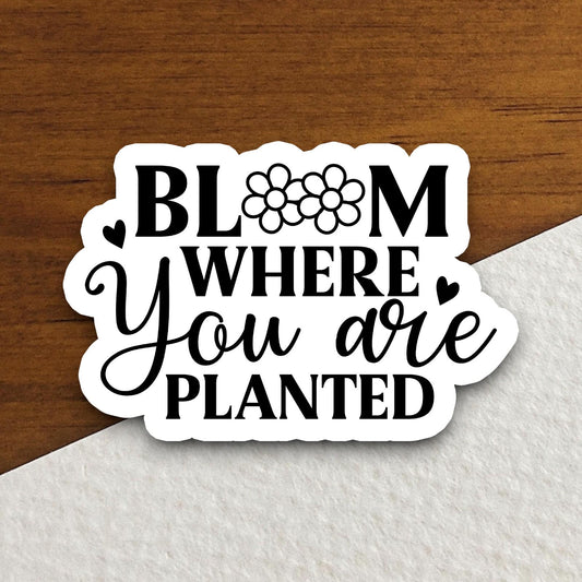 Bloom where you are planted sticker, Religious Sticker, Faith Sticker, Worship Sticker, Christian Sticker, Scripture Sticker, Room Décor